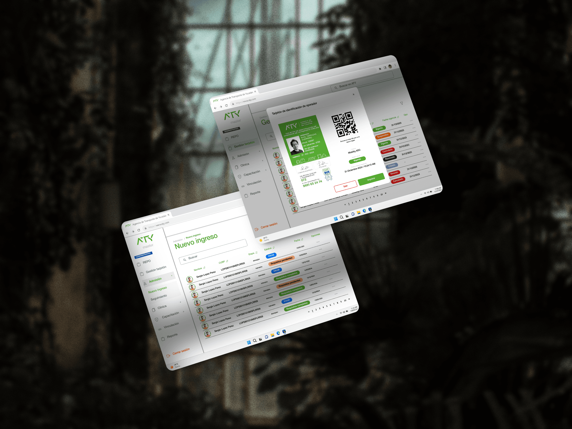 ATY business accountant project mockup